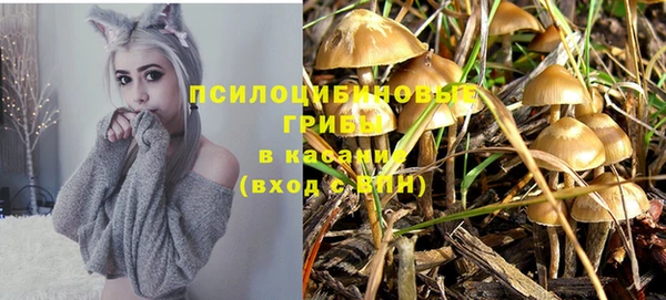Альфа ПВП Арсеньев