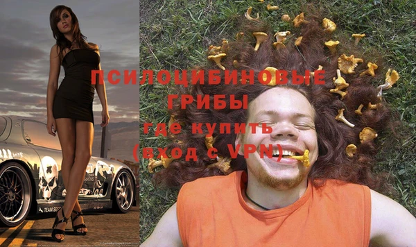 Альфа ПВП Арсеньев