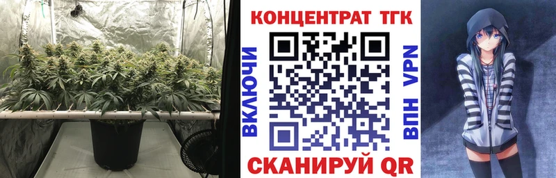Дистиллят ТГК Wax  Усмань 